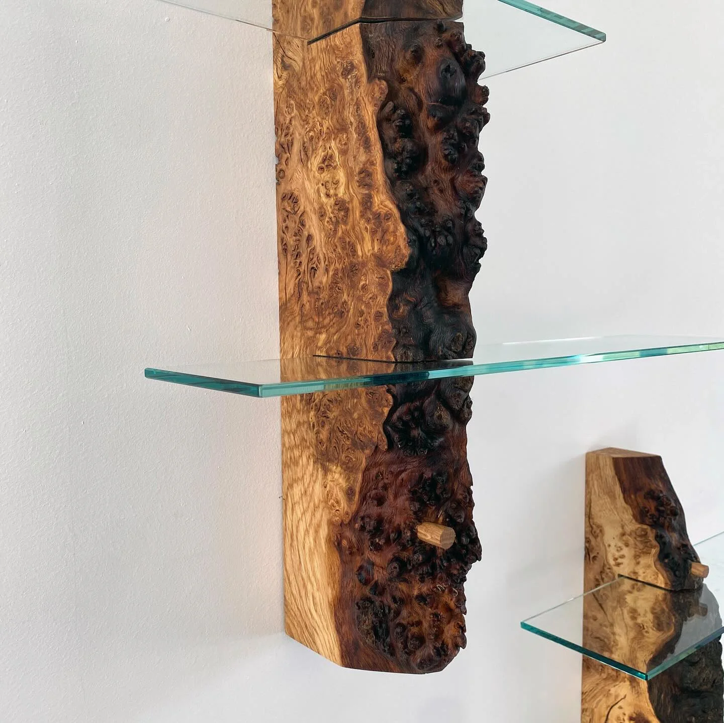 lander-shelves - 3.jpg