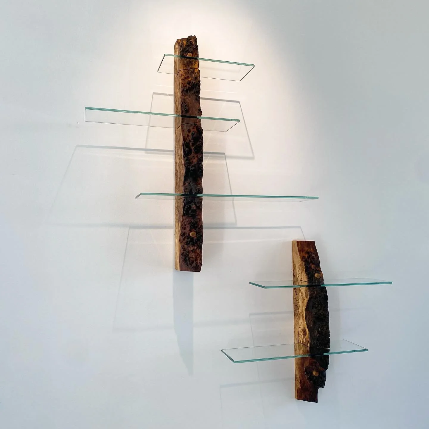 lander-shelves - 2.jpg