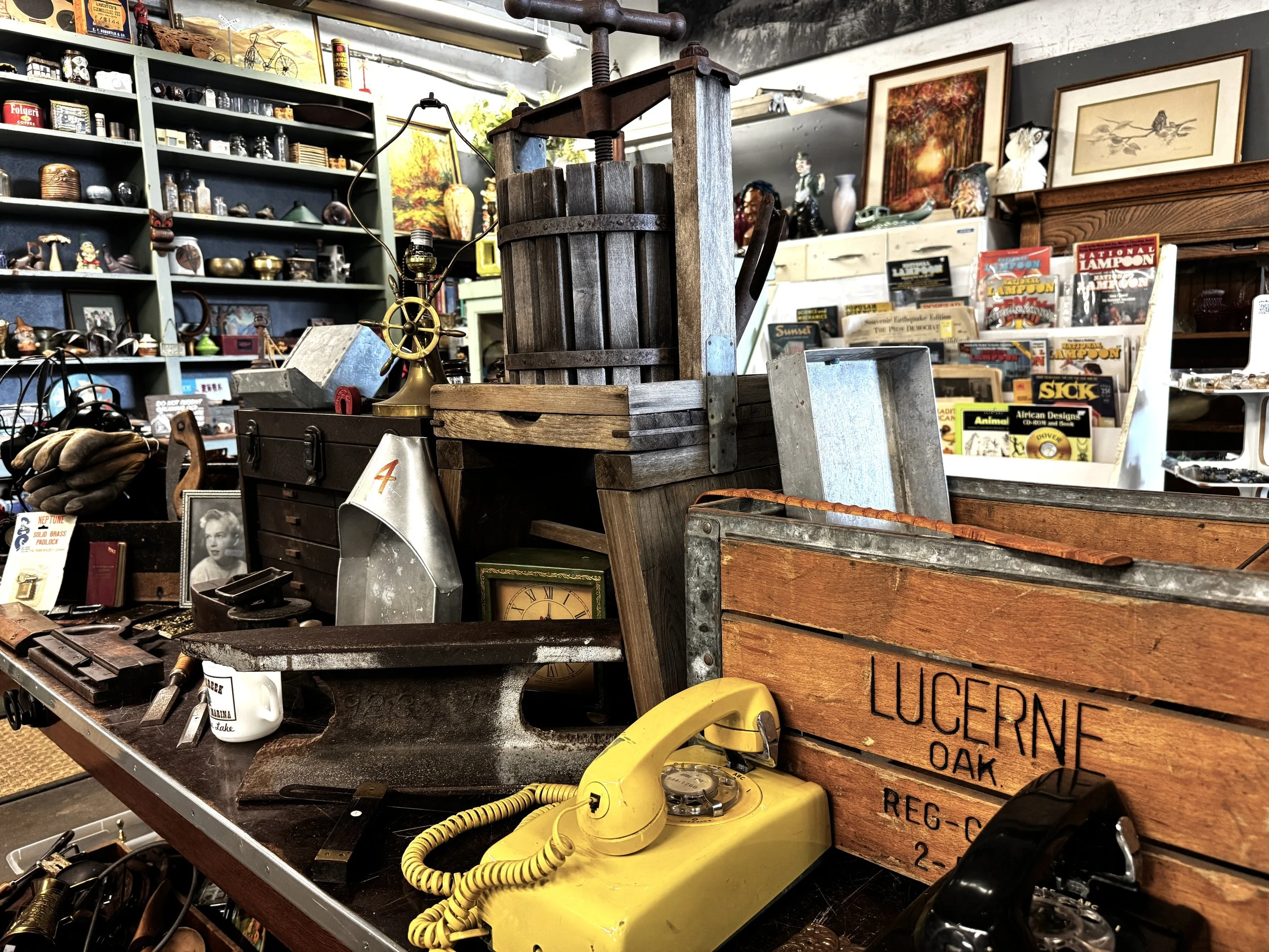 Sebastopol Warehouse Estate Sale
