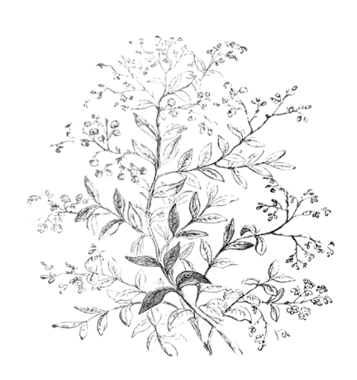 December 21st, 2025: Fourth Sunday of Advent 