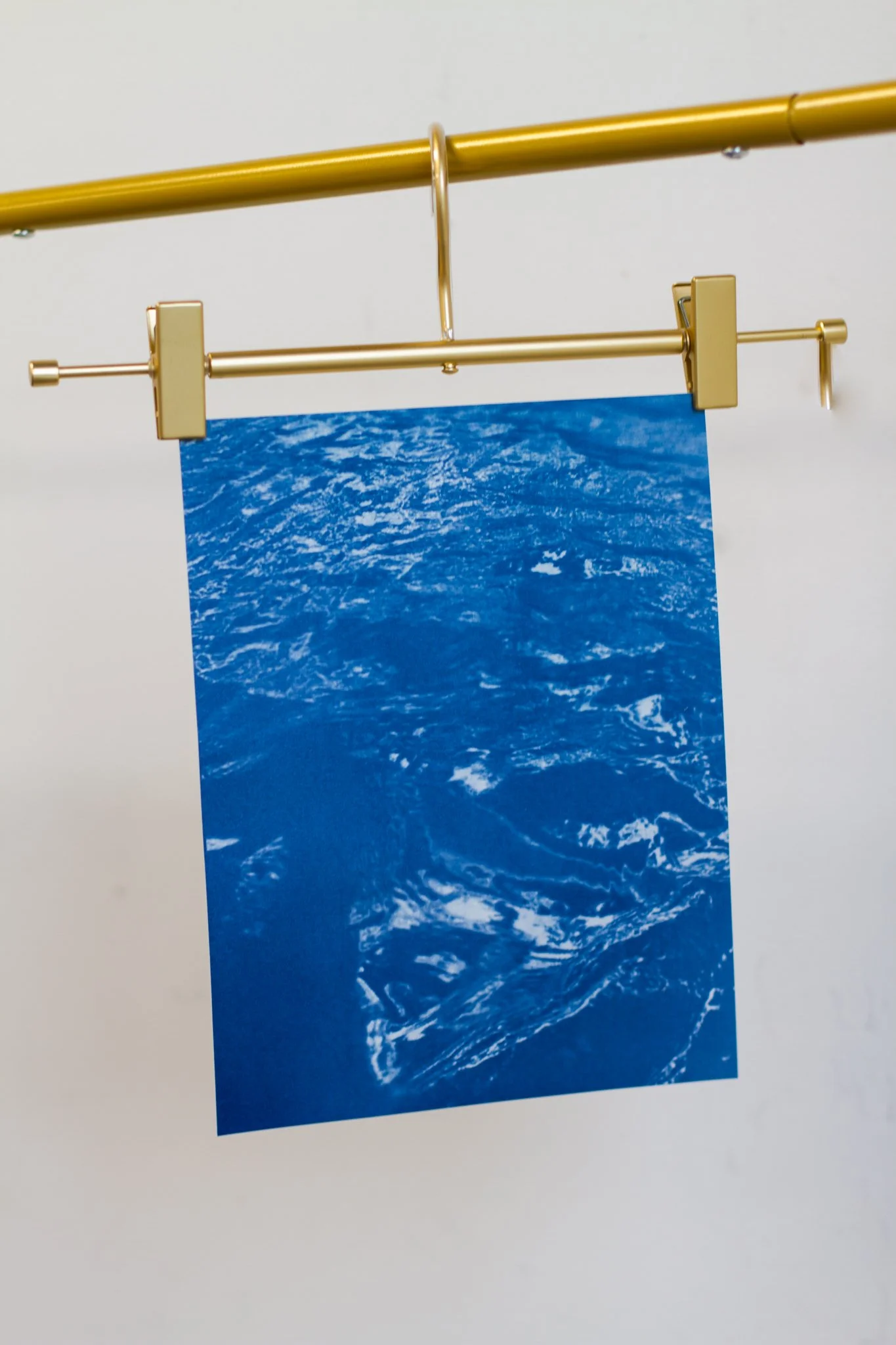 8x10 Original Cyanotype Anna Maria No. 1