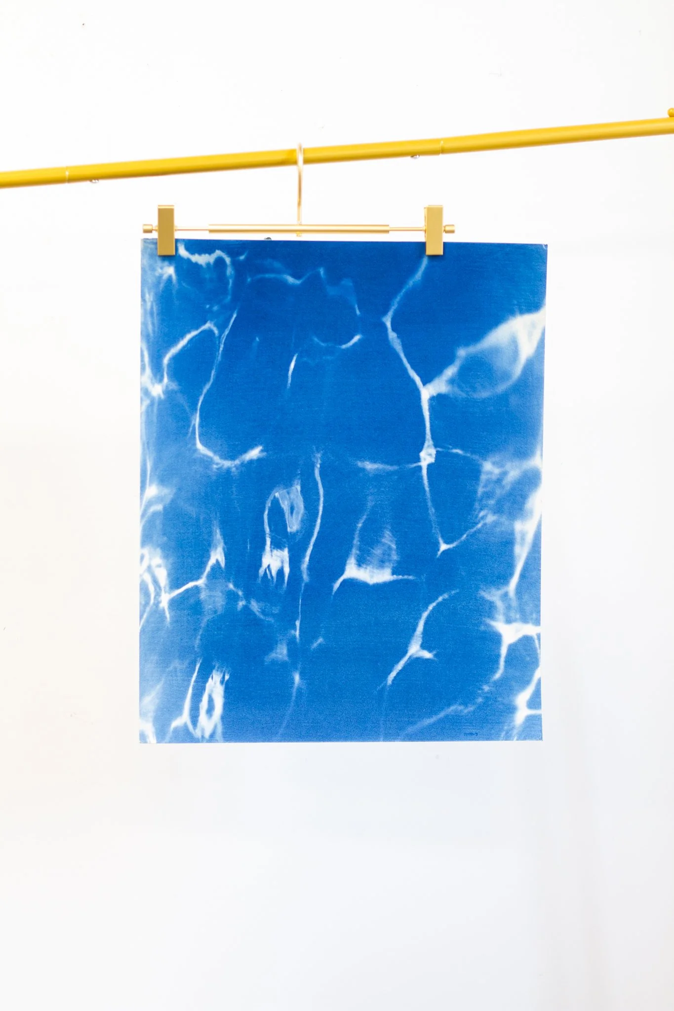 16x20 Original Cyanotype