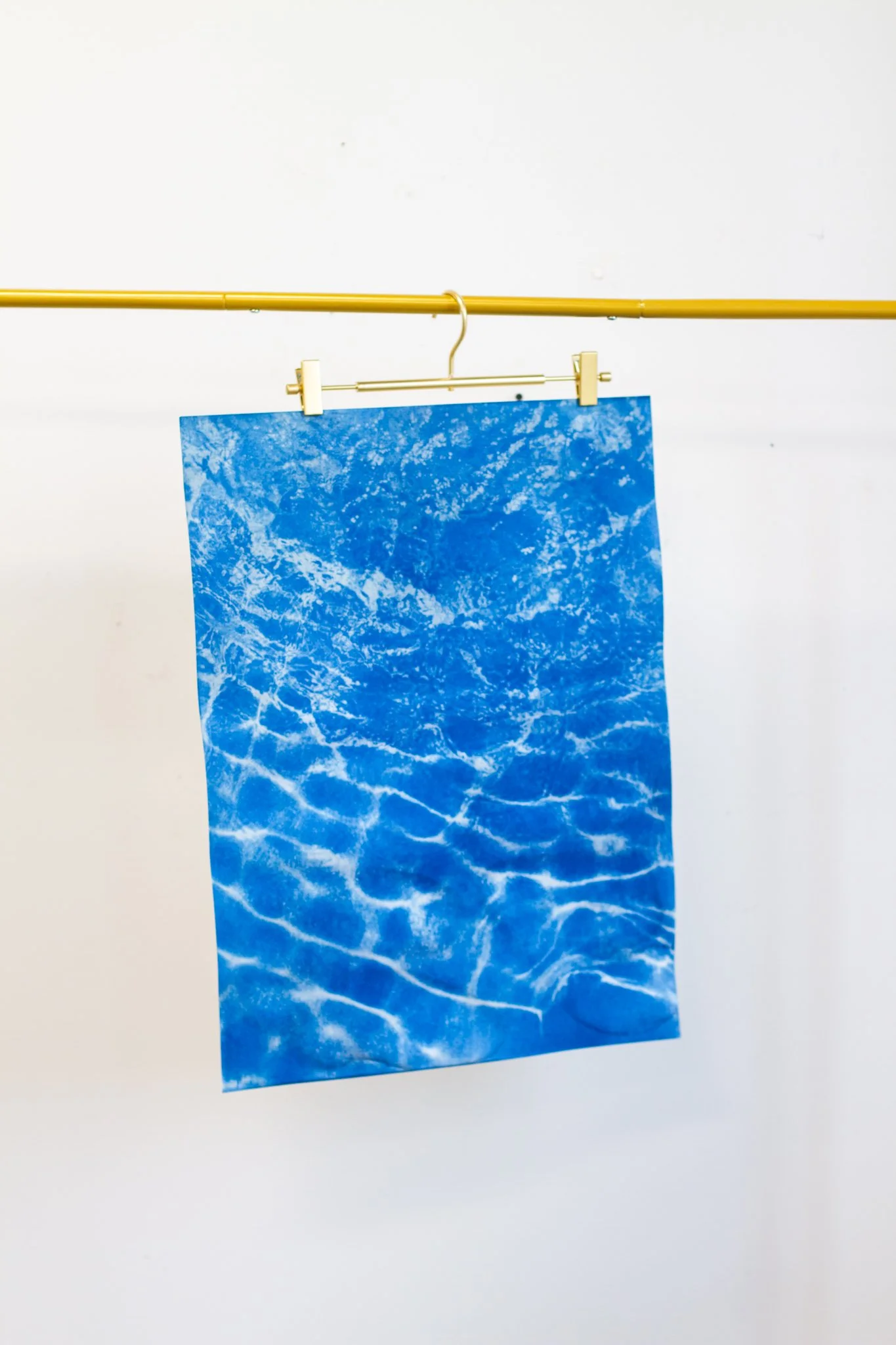 18x24 Original Cyanotype no. 1