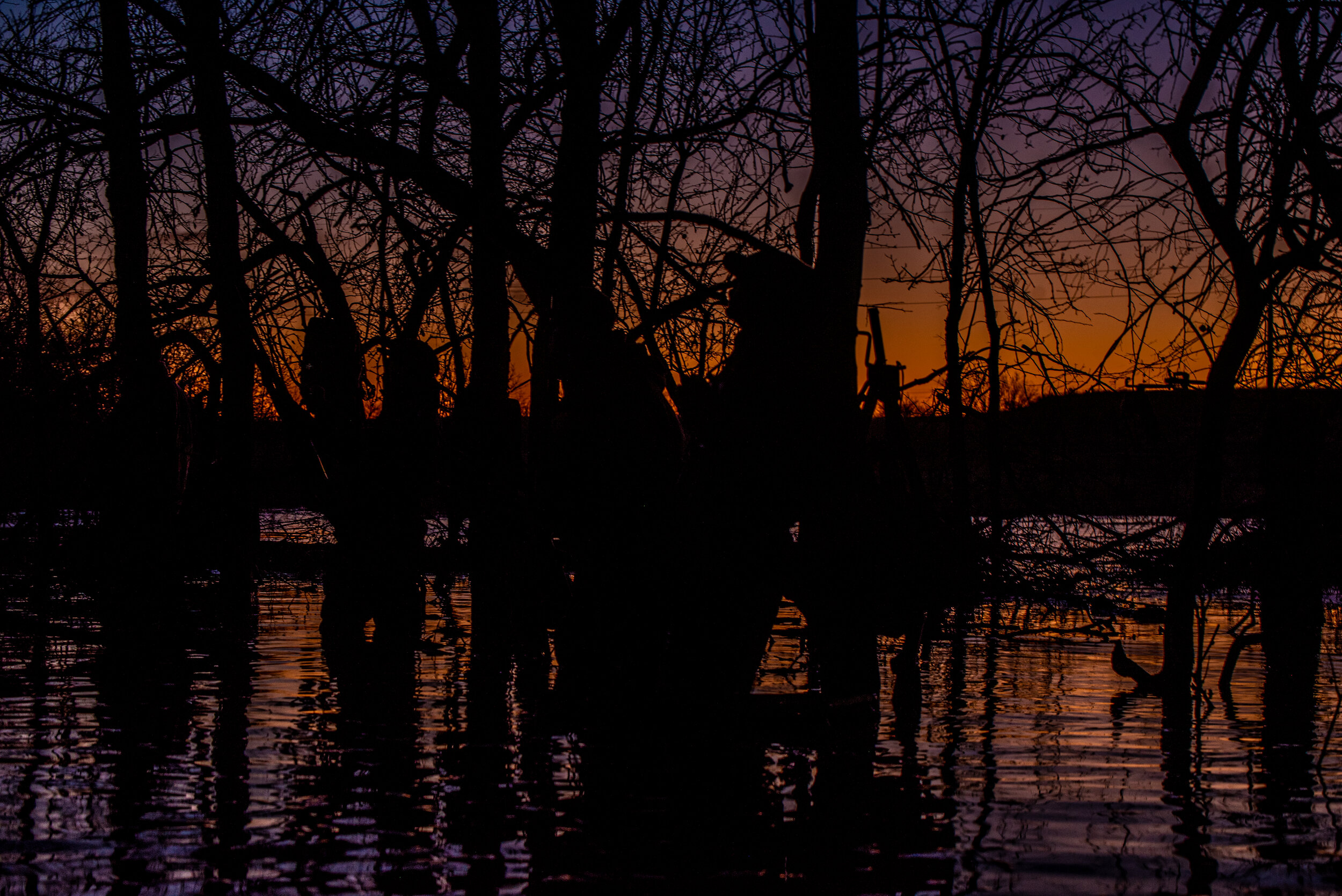 CSF_9954-1.jpg