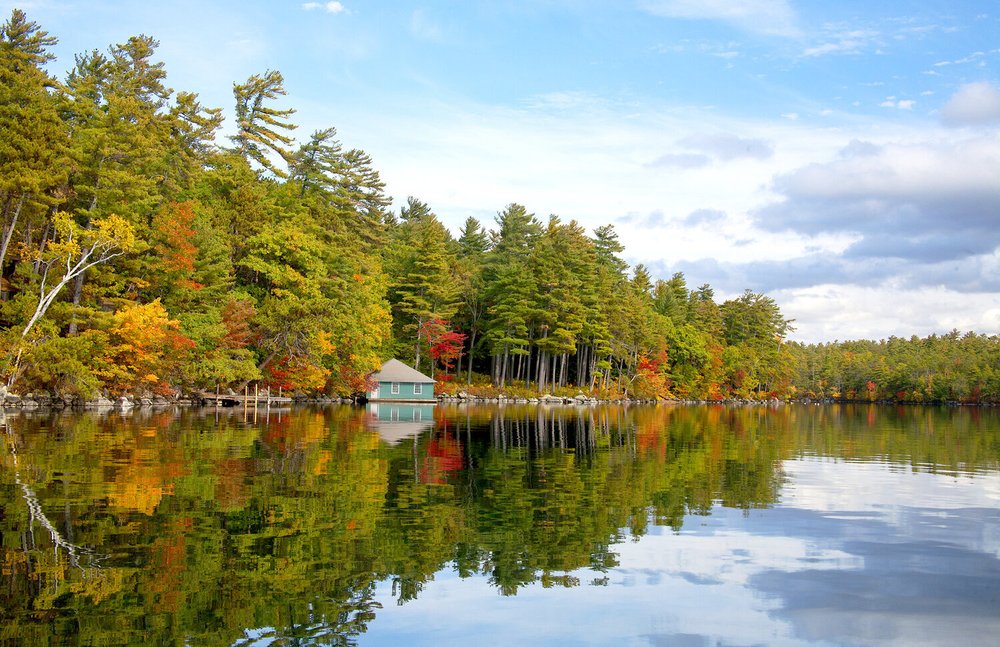 Squam Lake — Laura Glen Design