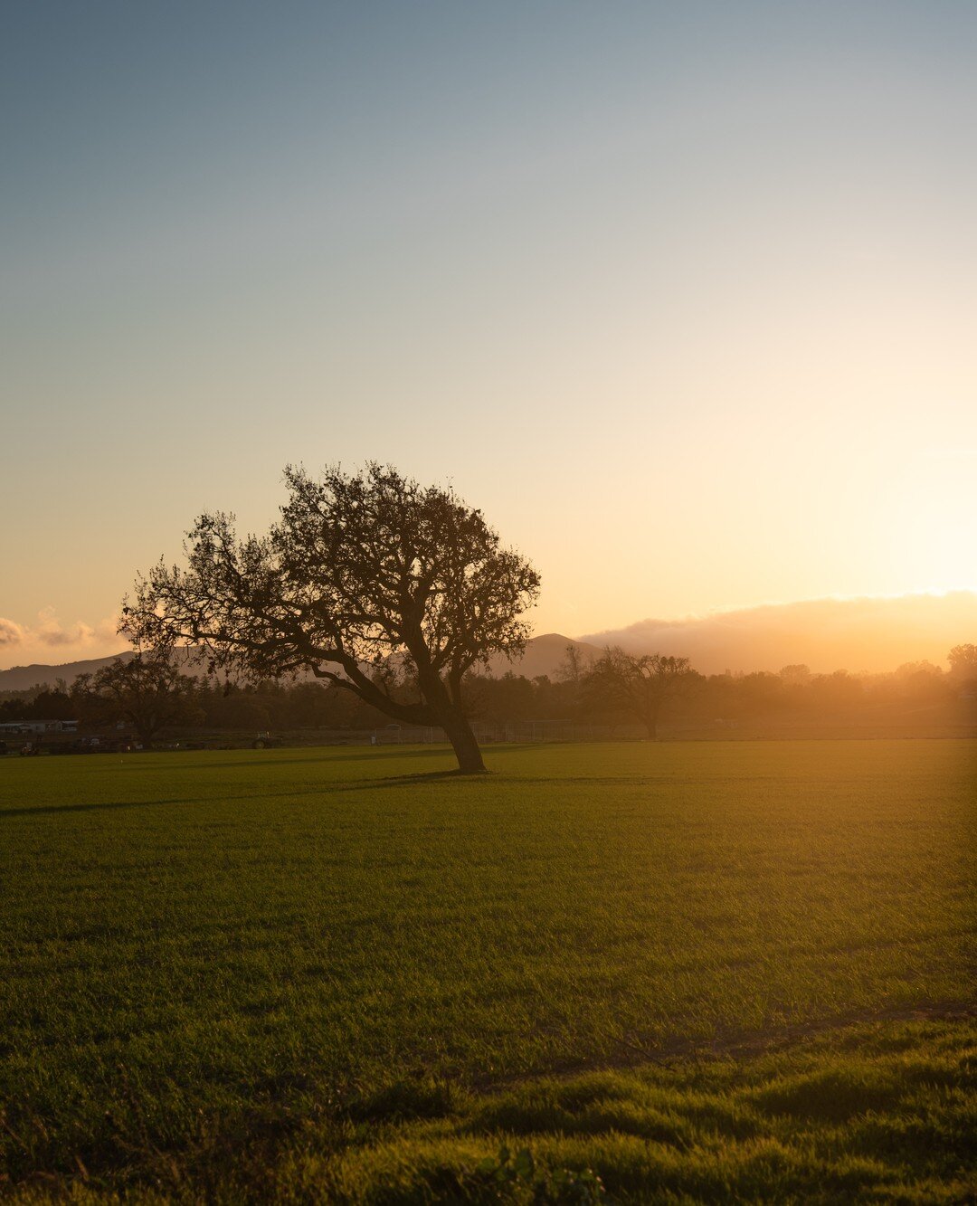 Happy Earth Day! 🌎 ⁠
⁠
We know this Earth Day is a little different from any others we have experienced.  COVID-19 has shown us that each individual person plays a vital role on our planet.⁠
⁠
At Open Streets, sustainability is one of our key focuse