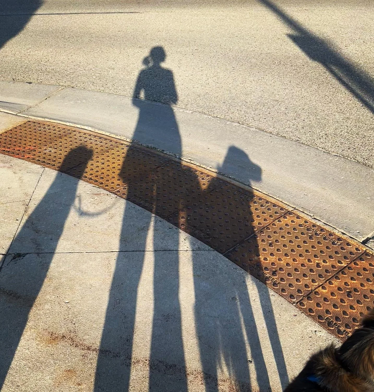 Shadows of me standing with my dogs