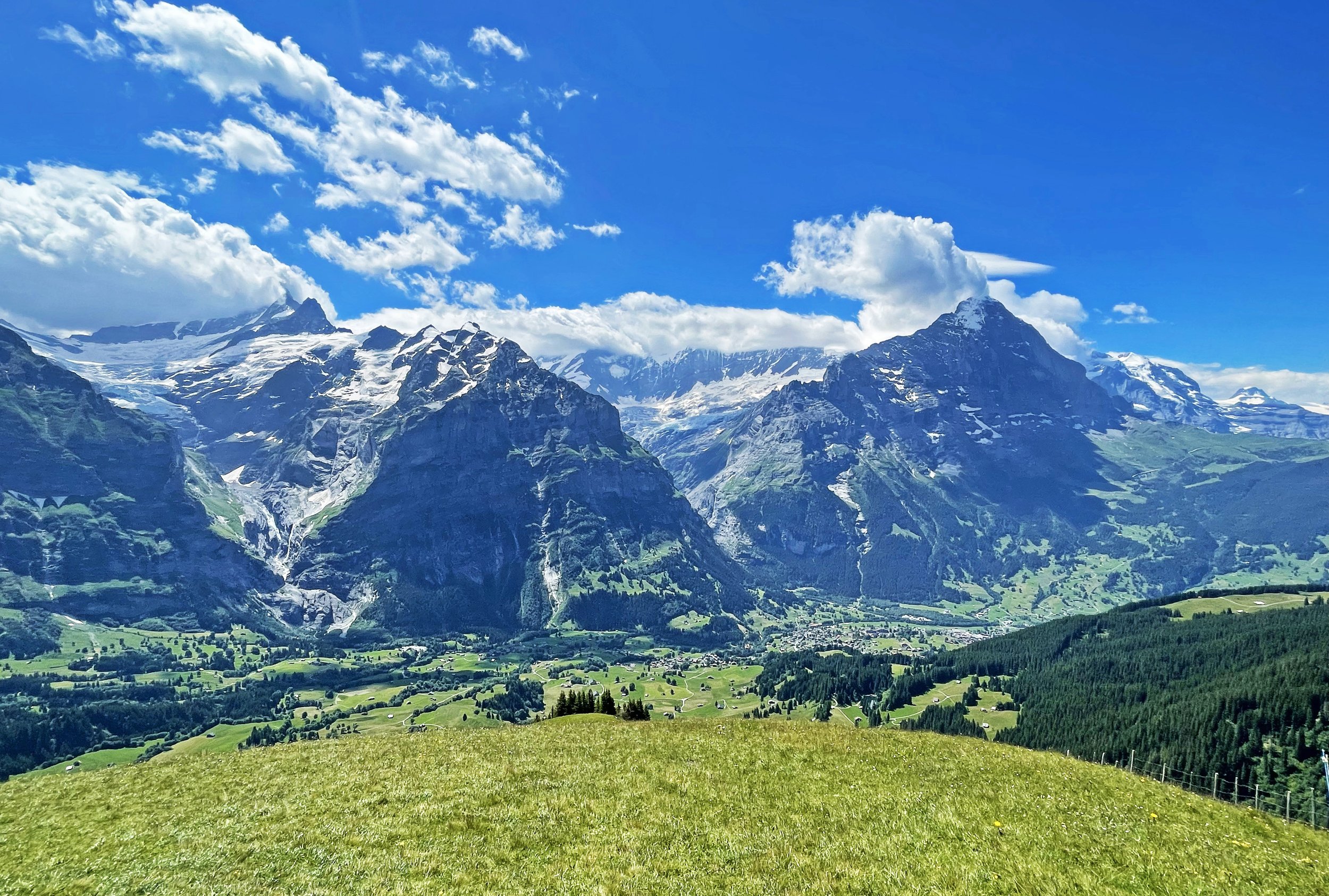 2.Kevin Pratt - Swiss Alps Grindewald_.jpg