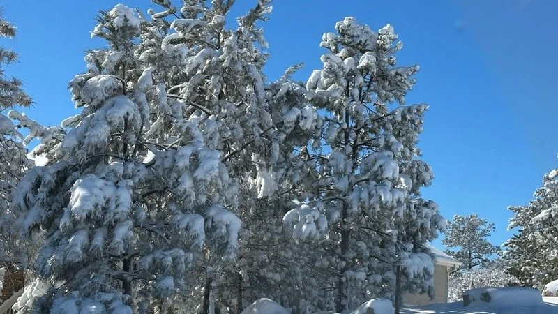 snow.jpeg