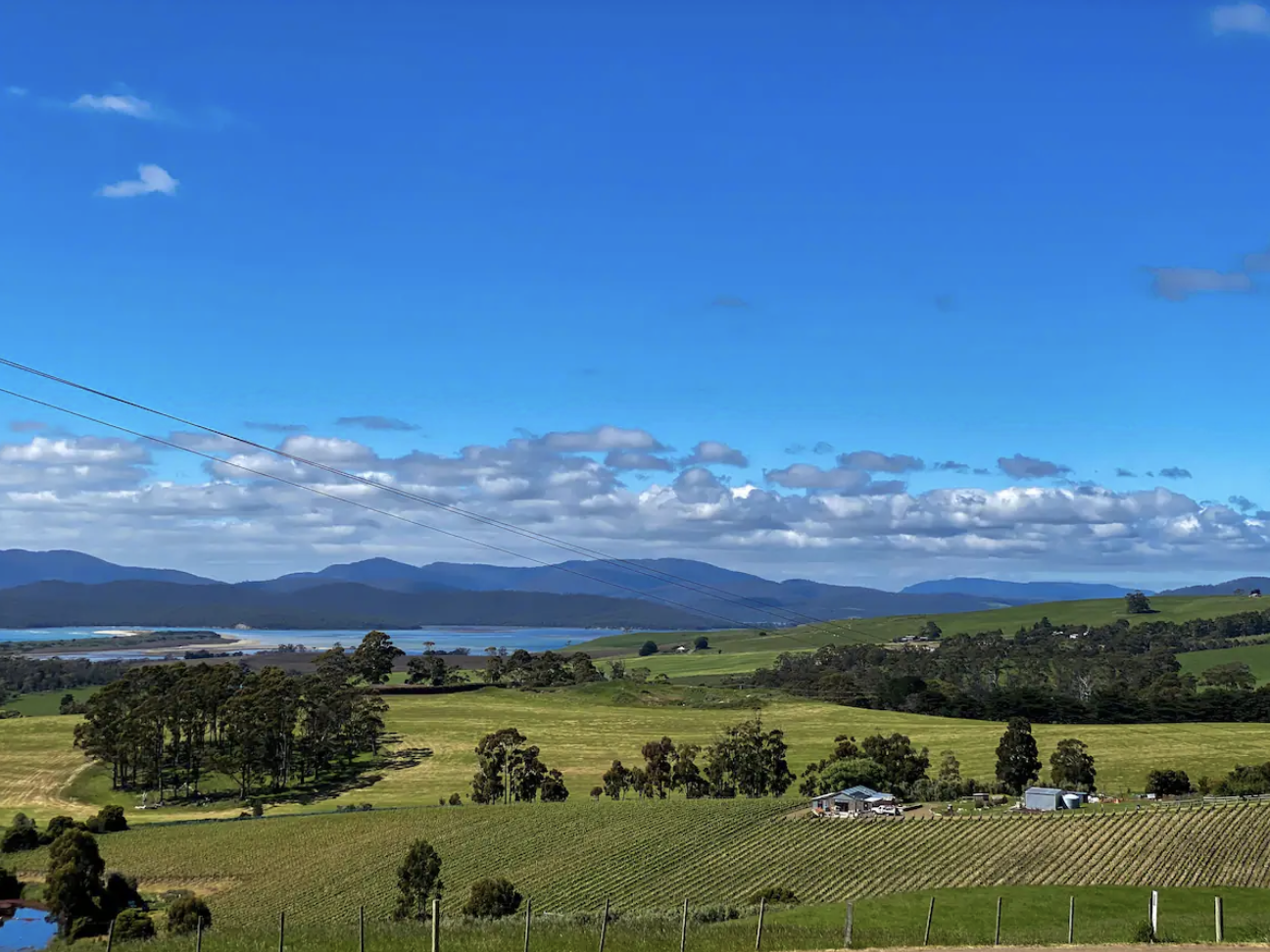 General 2 — VAN BONE