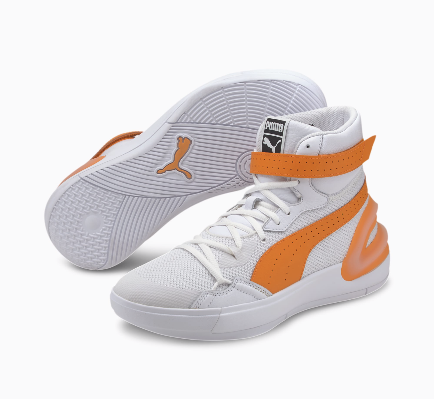 Sky Modern “Trevor Project”