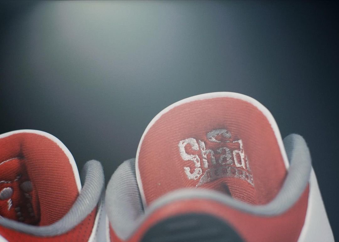 AirJordan3s.jpeg