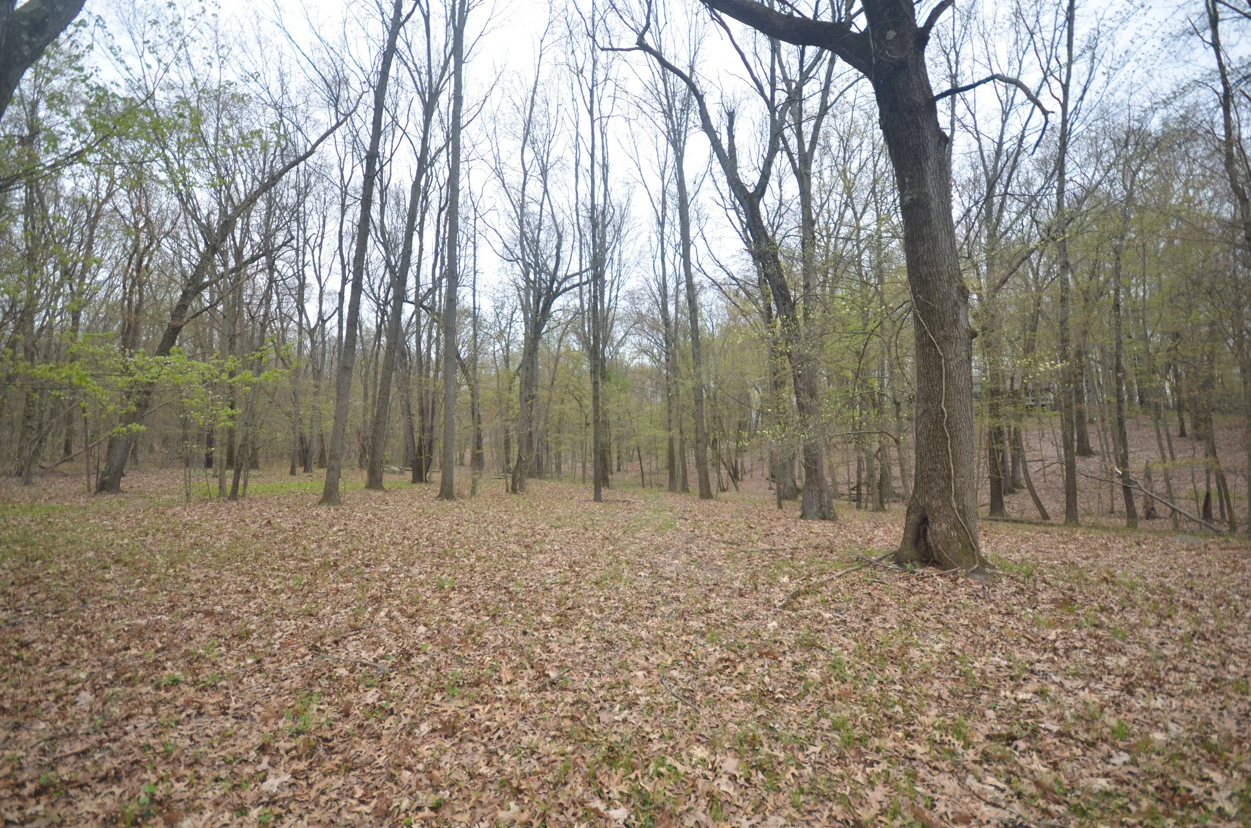 image of the lot at 6029 Far Hills Way