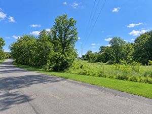 How Can a Larger Wooded Lot Help Position a Custom Home for Privacy at 7406 Stoney Creek Drive?