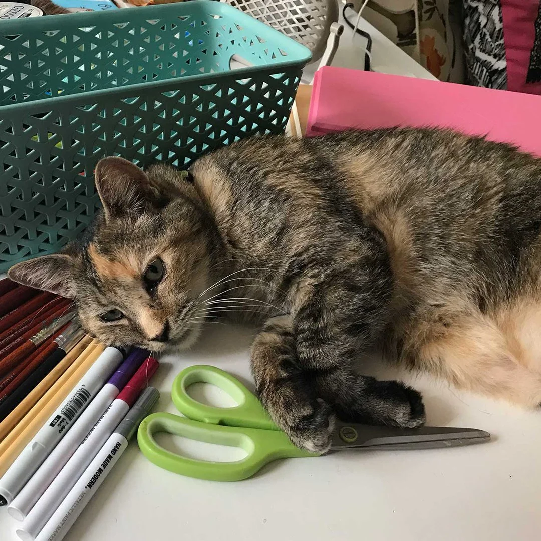 Virginia-Desk.jpg