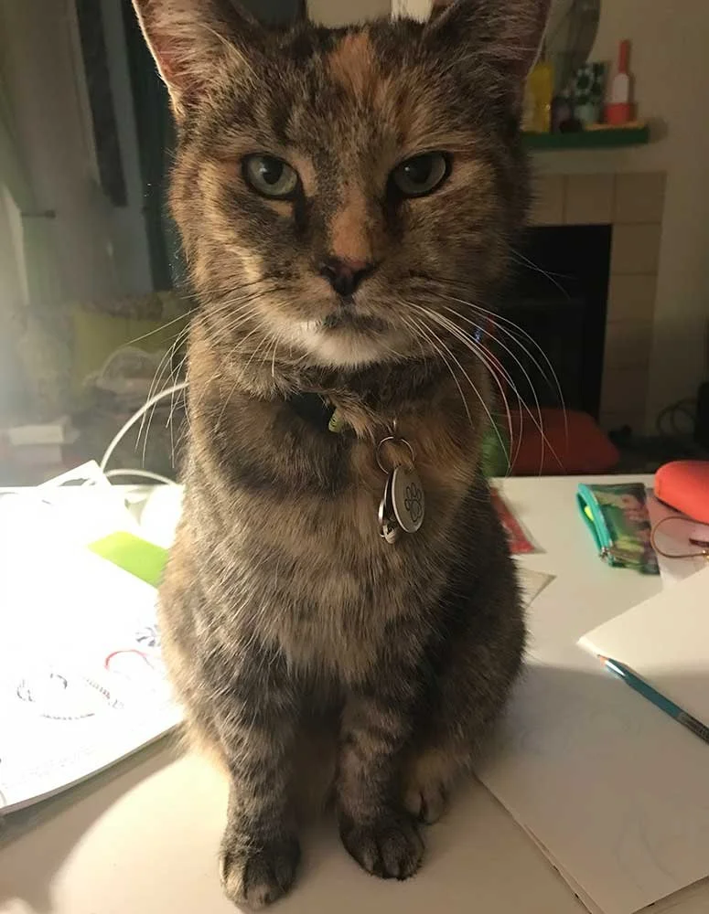 Viginia-Stare.jpg