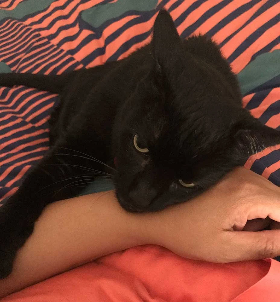 Woolf-Hug.jpg