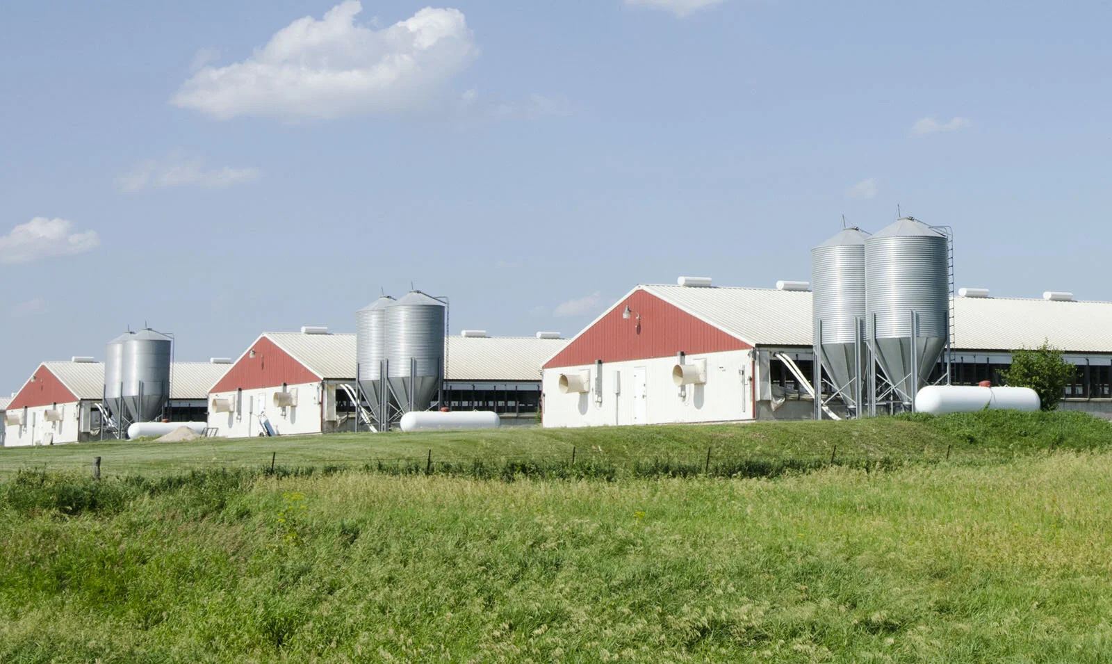 Booker Bill Would Phase Out Factory Farms and Revive the Packers and Stockyards Act