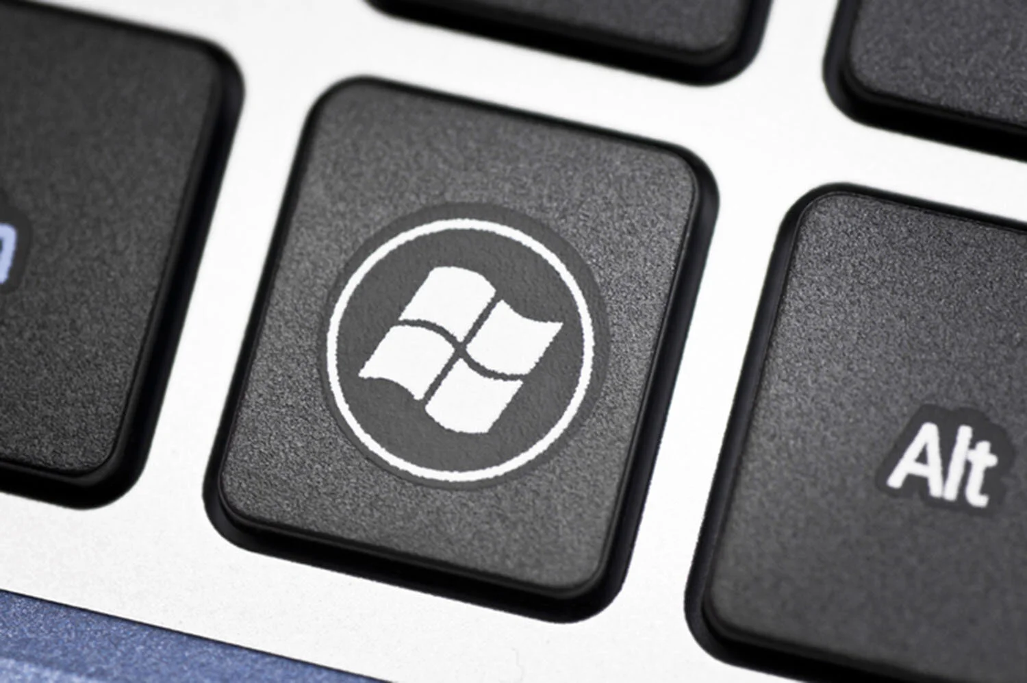 Microsoft Should Not be Ignored