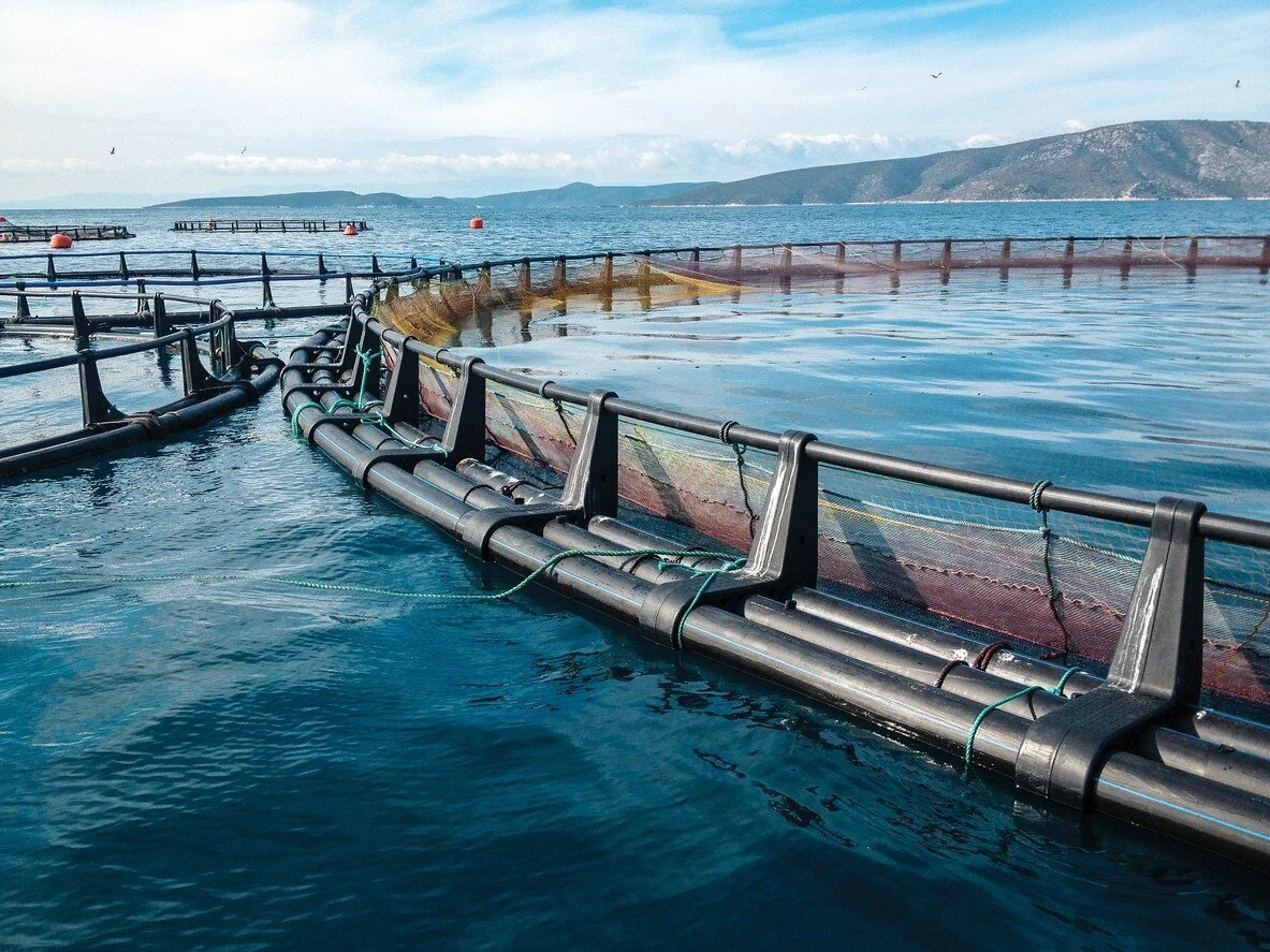 Big Ag Eyes Big Aquaculture