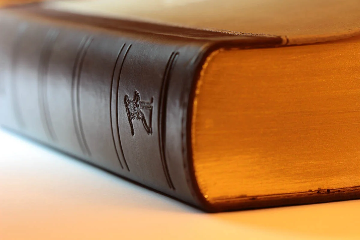 Public Comments of the Open Markets Institute Submitted to the Antitrust Division Roundtable Examining the "Consumer Costs of Anticompetitive Regulations"