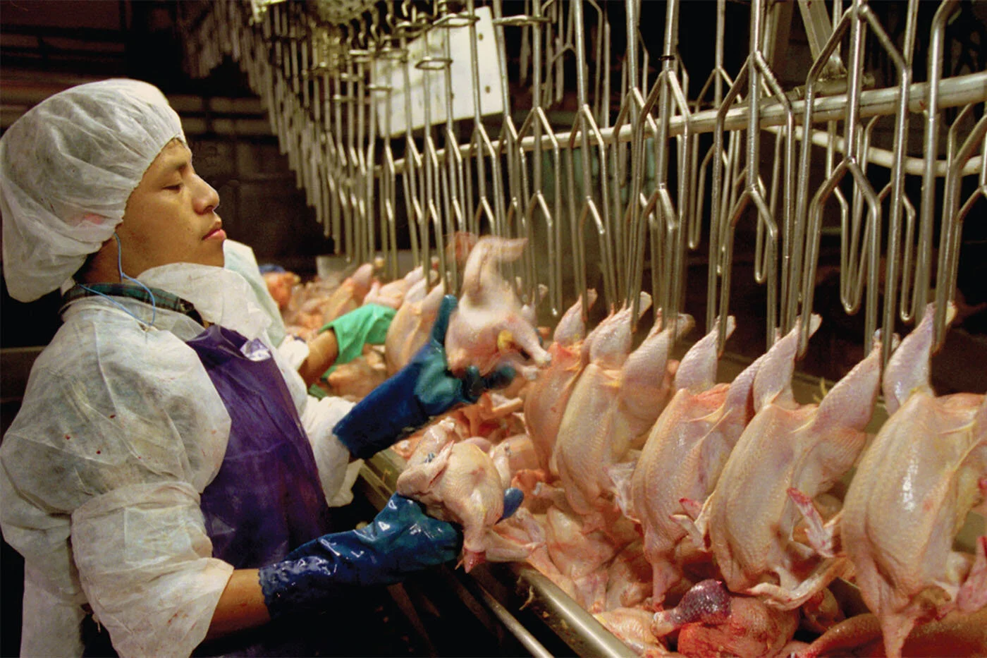 Workers Fear Injury as Administration Clears Way for Faster Chicken Slaughter