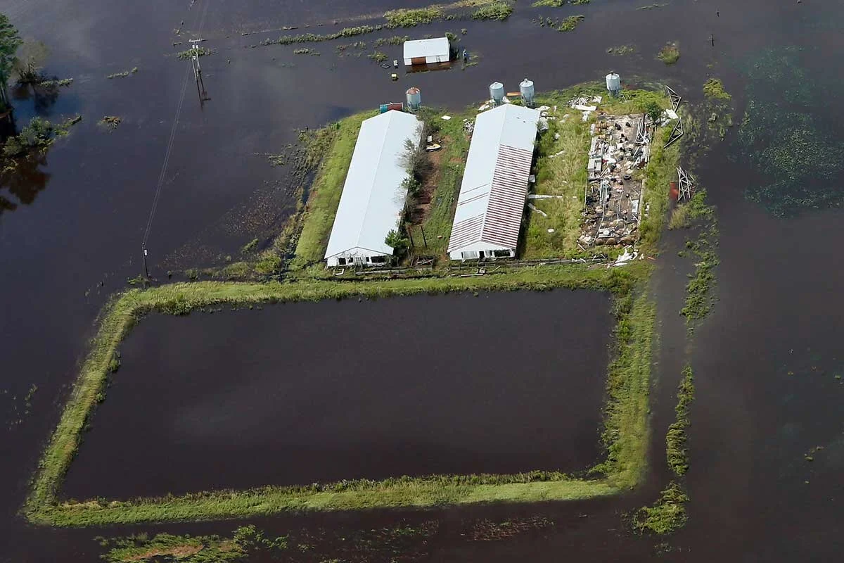 After Florence, Small Farmers Face Major Hurdles to Federal Relief