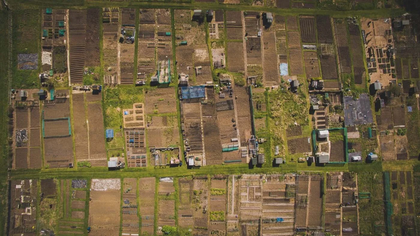 African Americans Have Lost Untold Acres of Land Over the Last Century