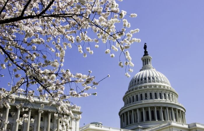 Restoring Anti-monopoly Through Bright-Line Rules