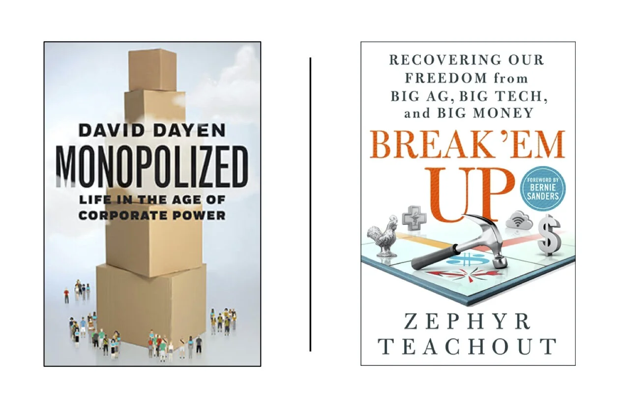 Webinar | How to Take on Monopoly Power with Zephyr Teachout and David Dayen