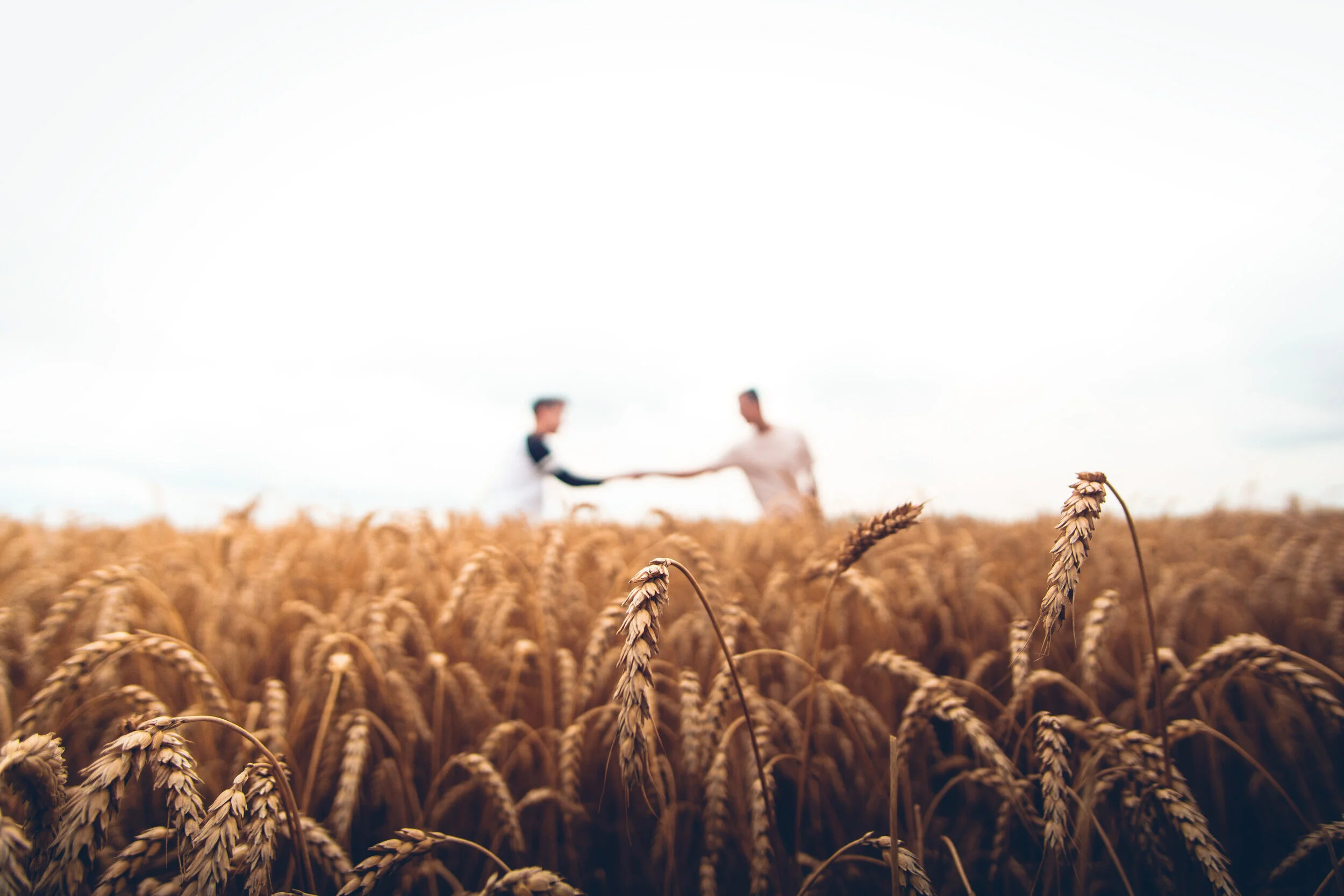 Report | Redeeming the Democratic Promise of Agricultural Cooperatives