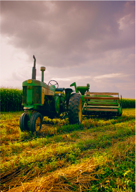 The Corner Newsletter: September 17, 2020 