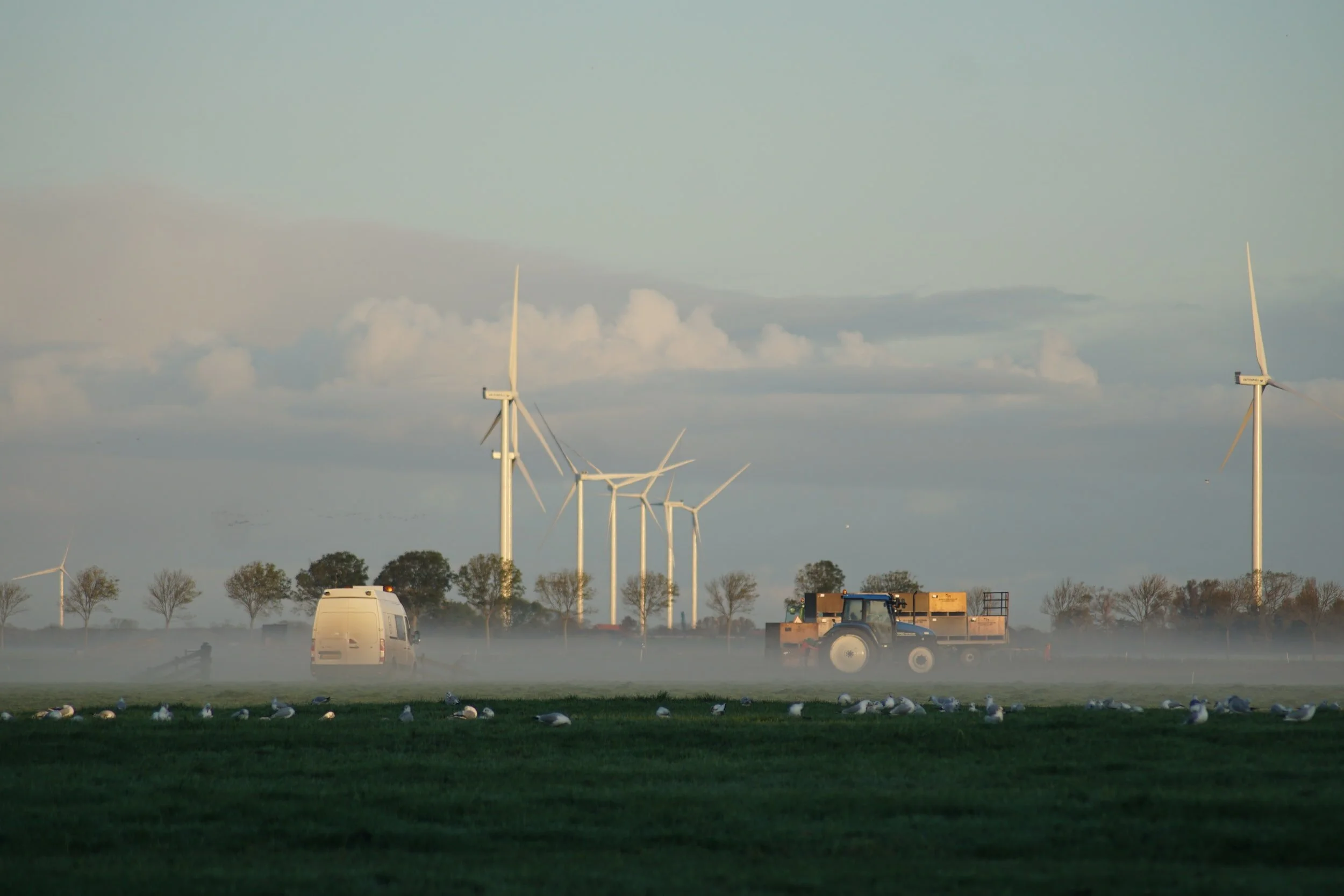 LPE Project - Antimonopoly is about Democratizing the Food System (and the Rest of the Economy)