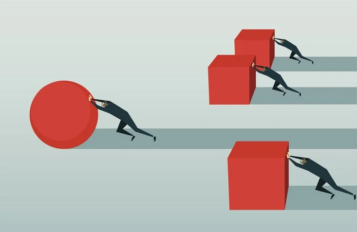 The Nikkei - The Limits of Trustbusting Litigation