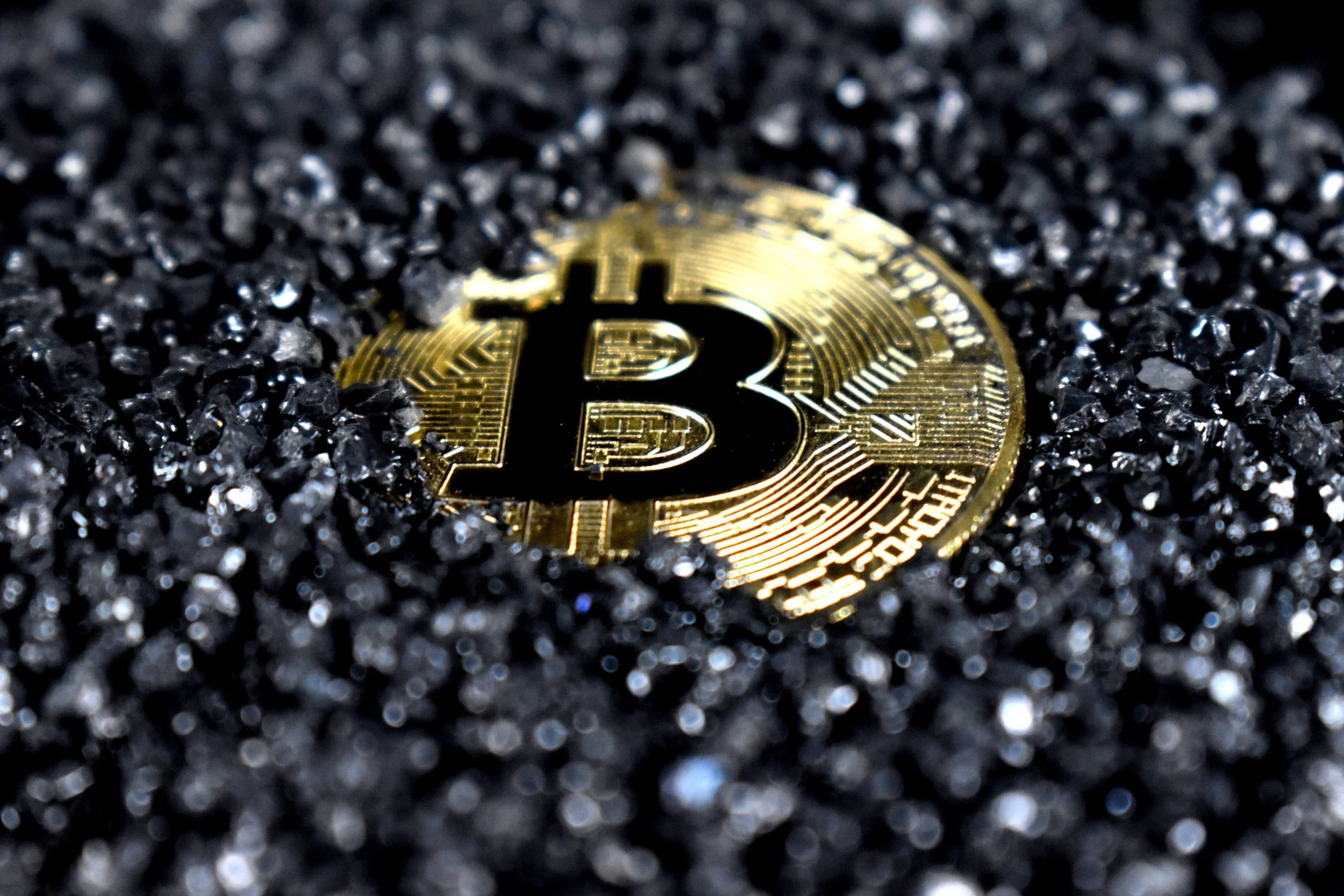 The New York Times - Tales From Crypto: A Billionaire Meme Feud Threatens Industry Unity