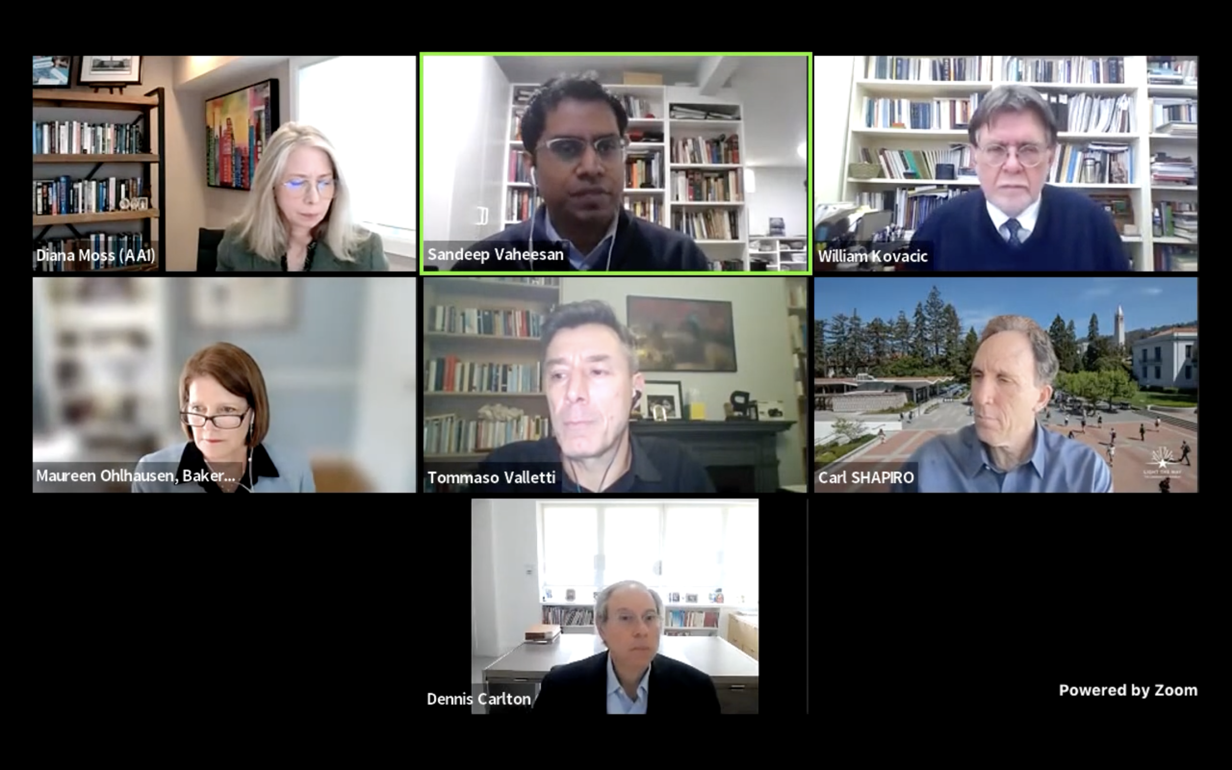 American Bar Association Webinar | Is Consumer Welfare in Hot Water?