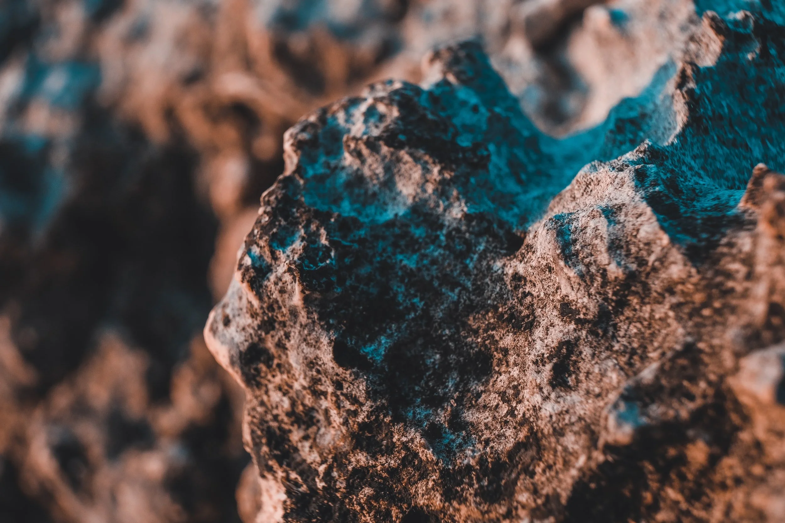 The Corner Newsletter: March 25, 2022