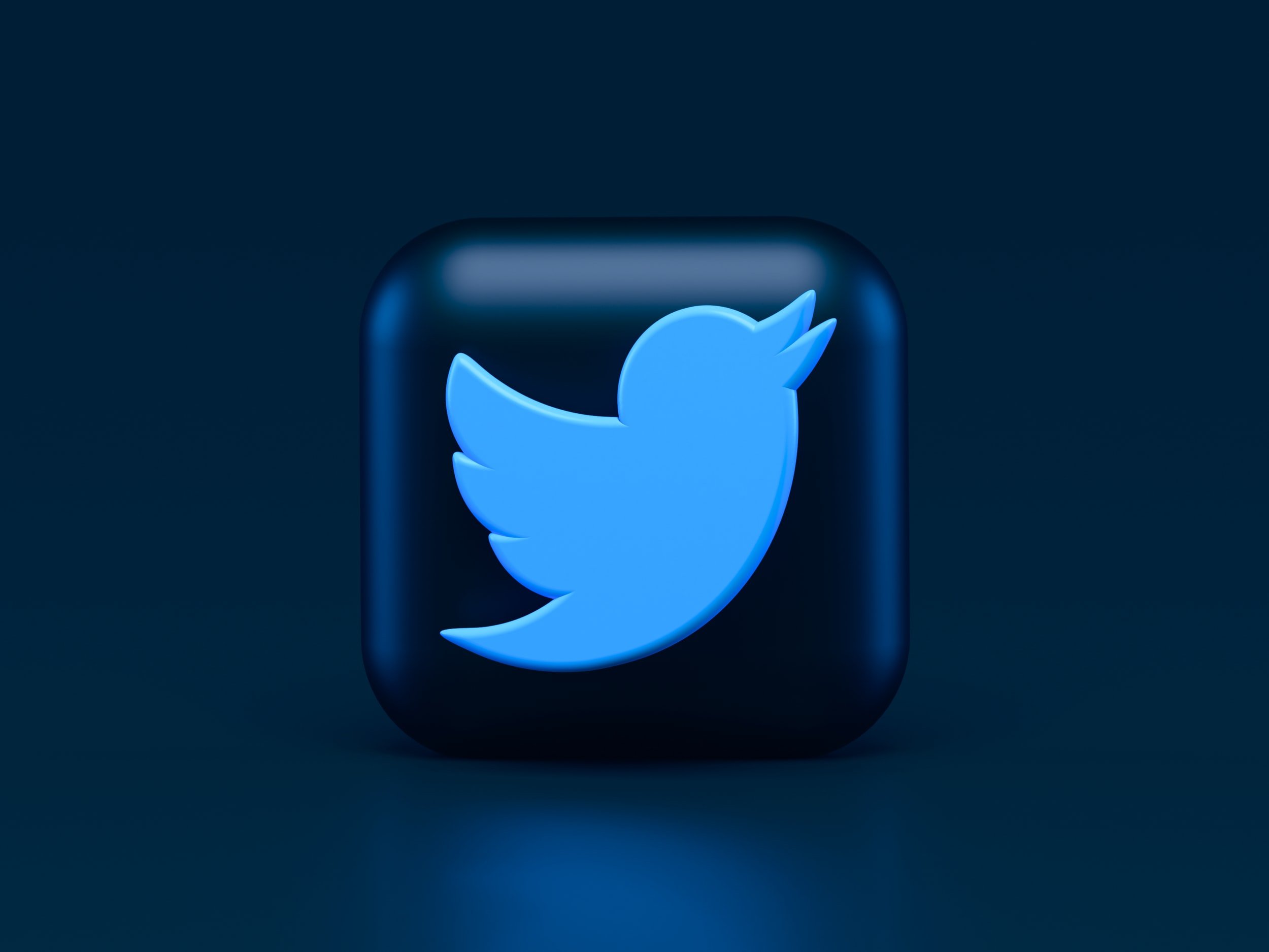 Open Markets Details How US Government Can Block Musk Takeover of Twitter