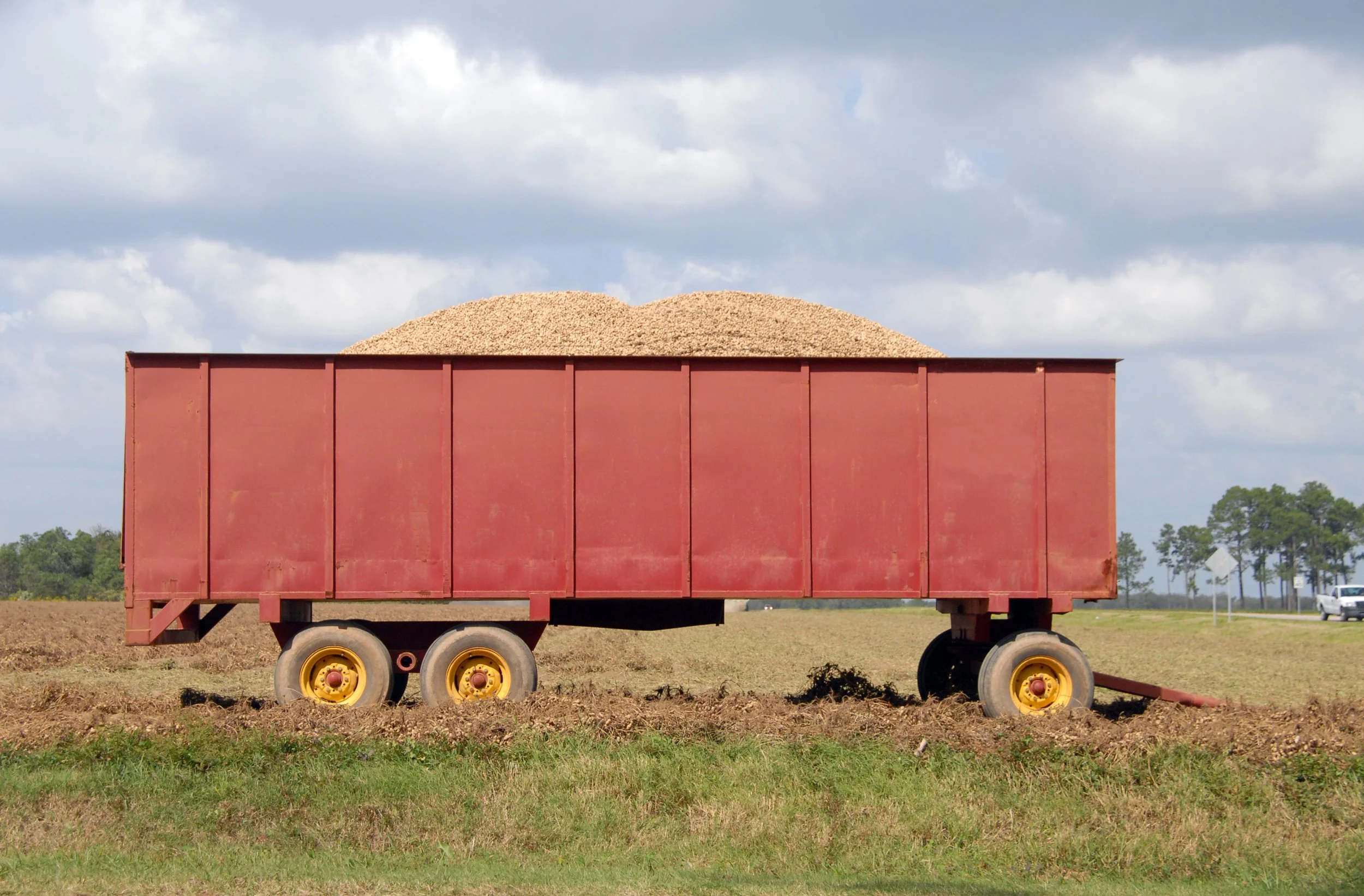Report | Peanut Farmers Join Forces Against 'Big Shell'