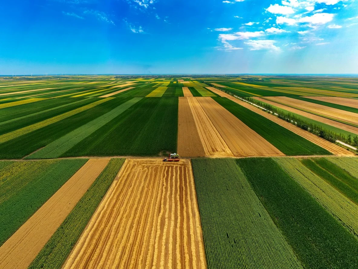 Open Markets’ Claire Kelloway Applauds USDA’s Improved Protections for Farmers Under the Packers &amp; Stockyards Act 