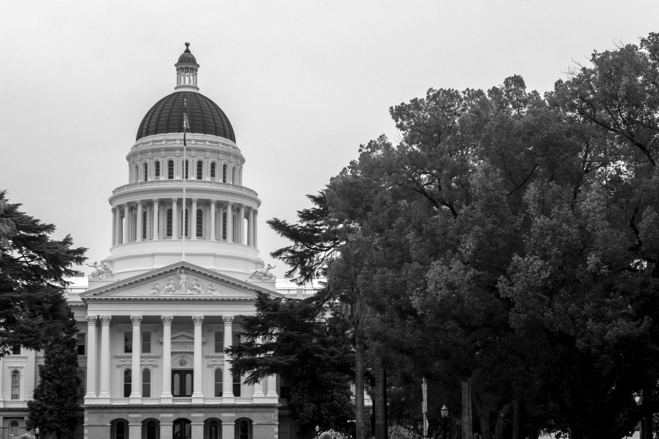 Open Markets Institute Joins Amicus Brief Defending California AI Transparency Law in Landmark Appeal 
