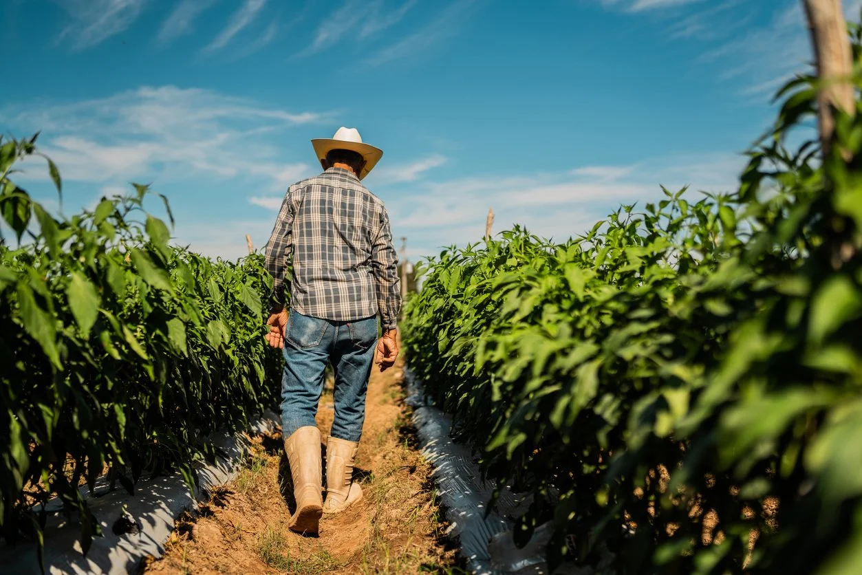 Successful Farming - How Immigration Crackdowns Are Impacting America’s Farmworkers