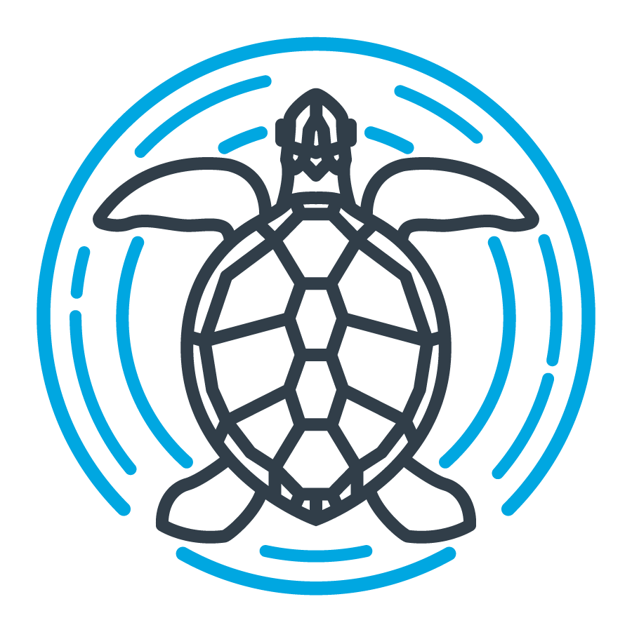 Ops_SeaTurtle.png