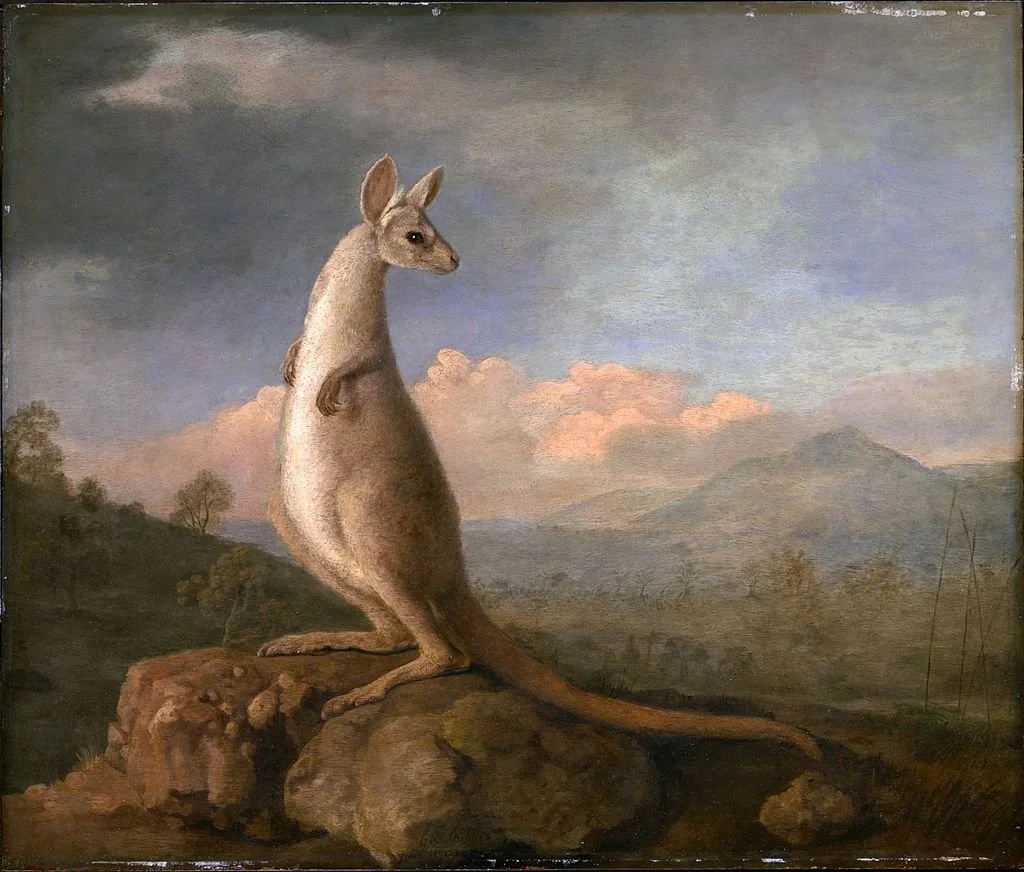  'The Kongourou from New Holland' George Stubbs 1772