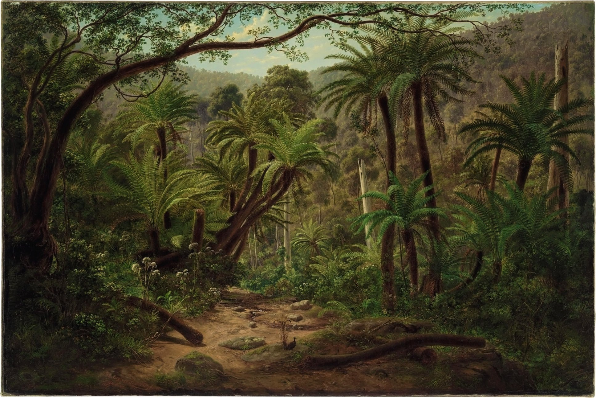 'Ferntree Gully in the Dandenong Ranges' by Eugene von Guérard 1857