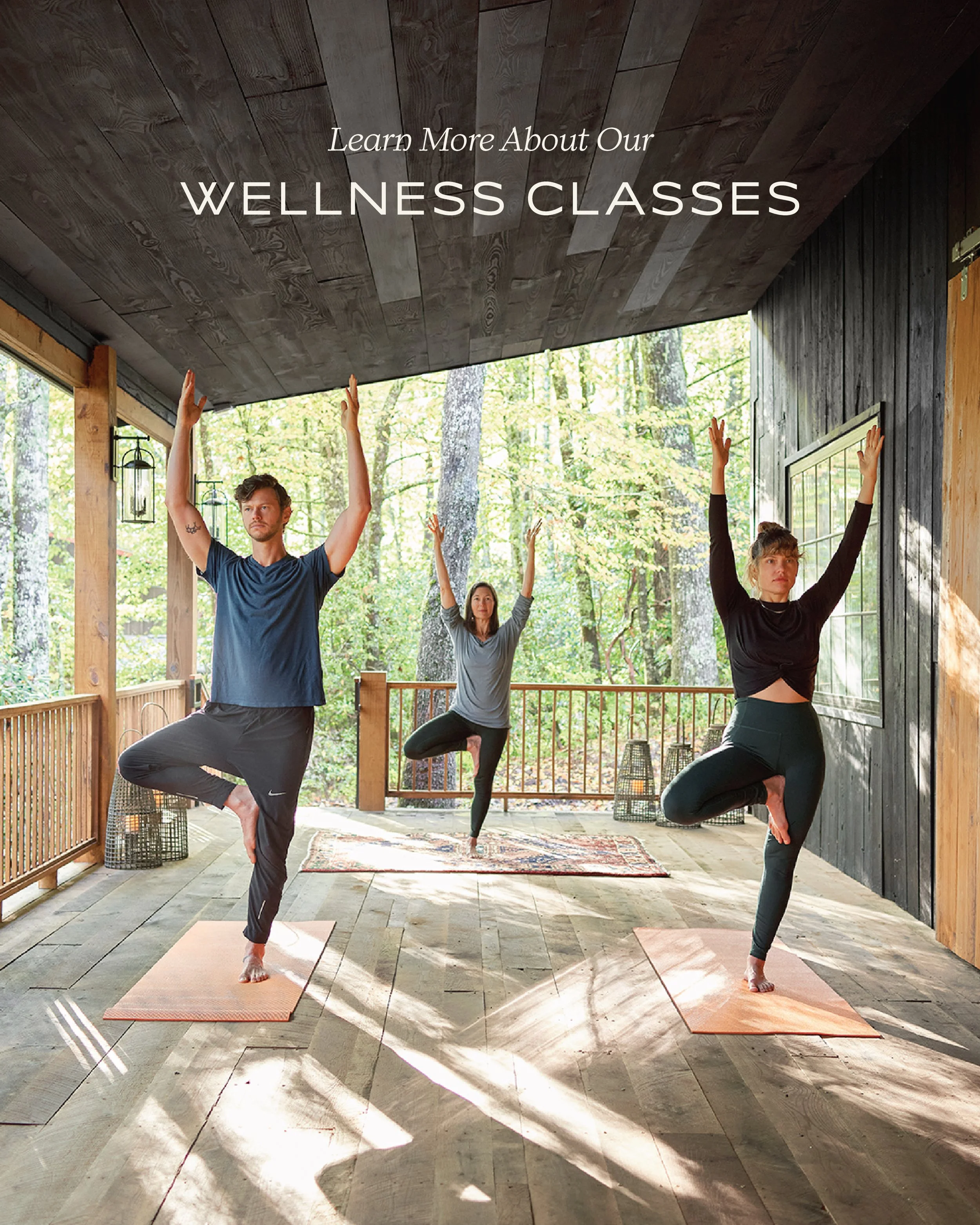 Learn more about our wellness classes