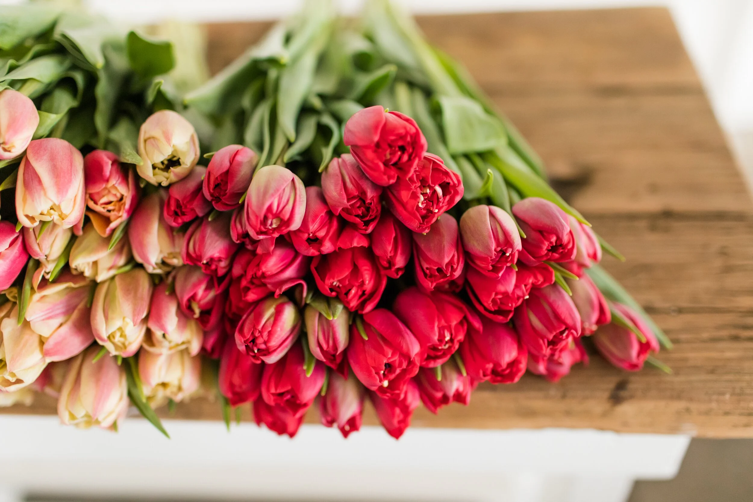 PBTS-March-Tulips-28.jpg