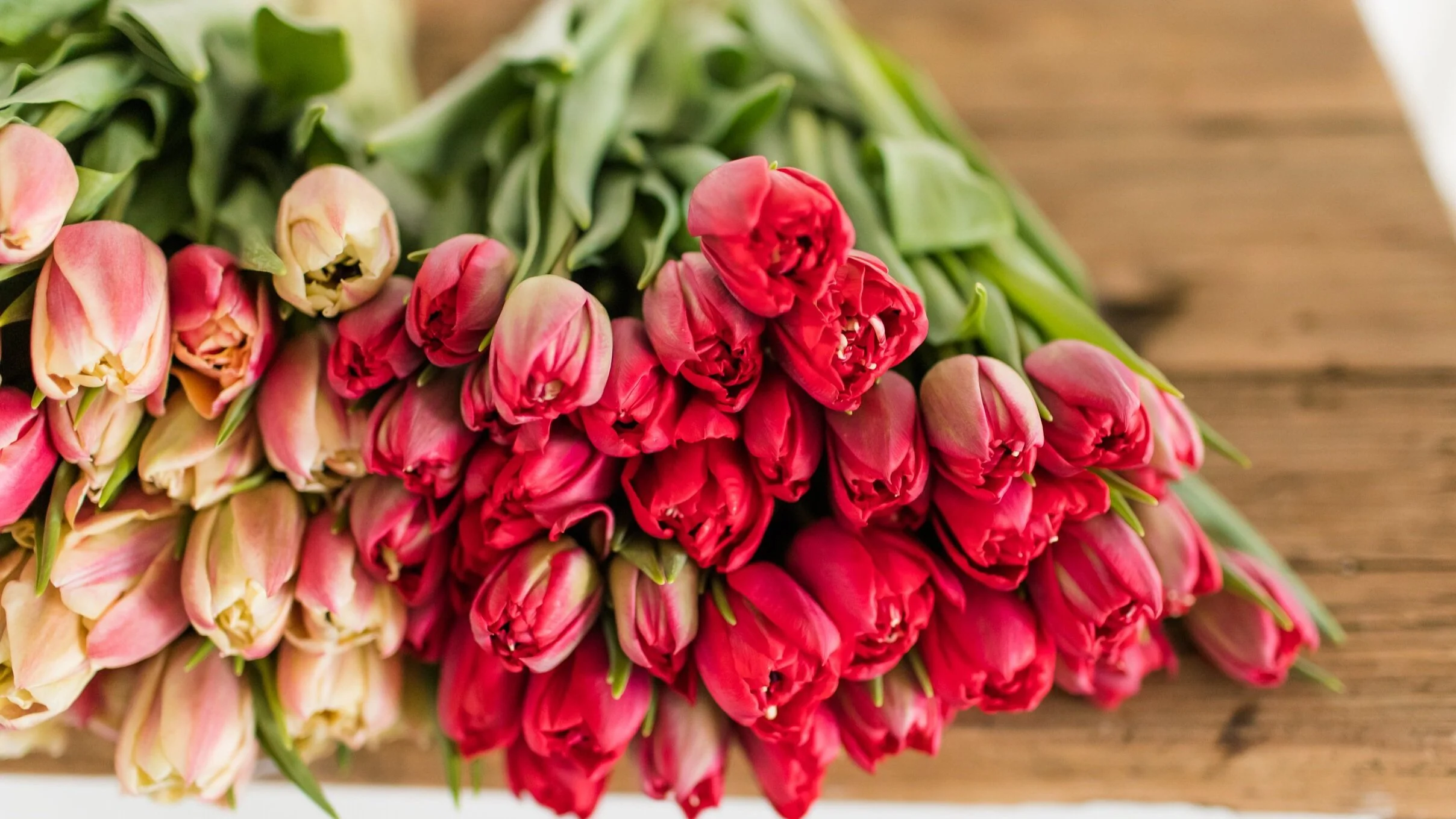 PBTS-March-Tulips-28.jpg