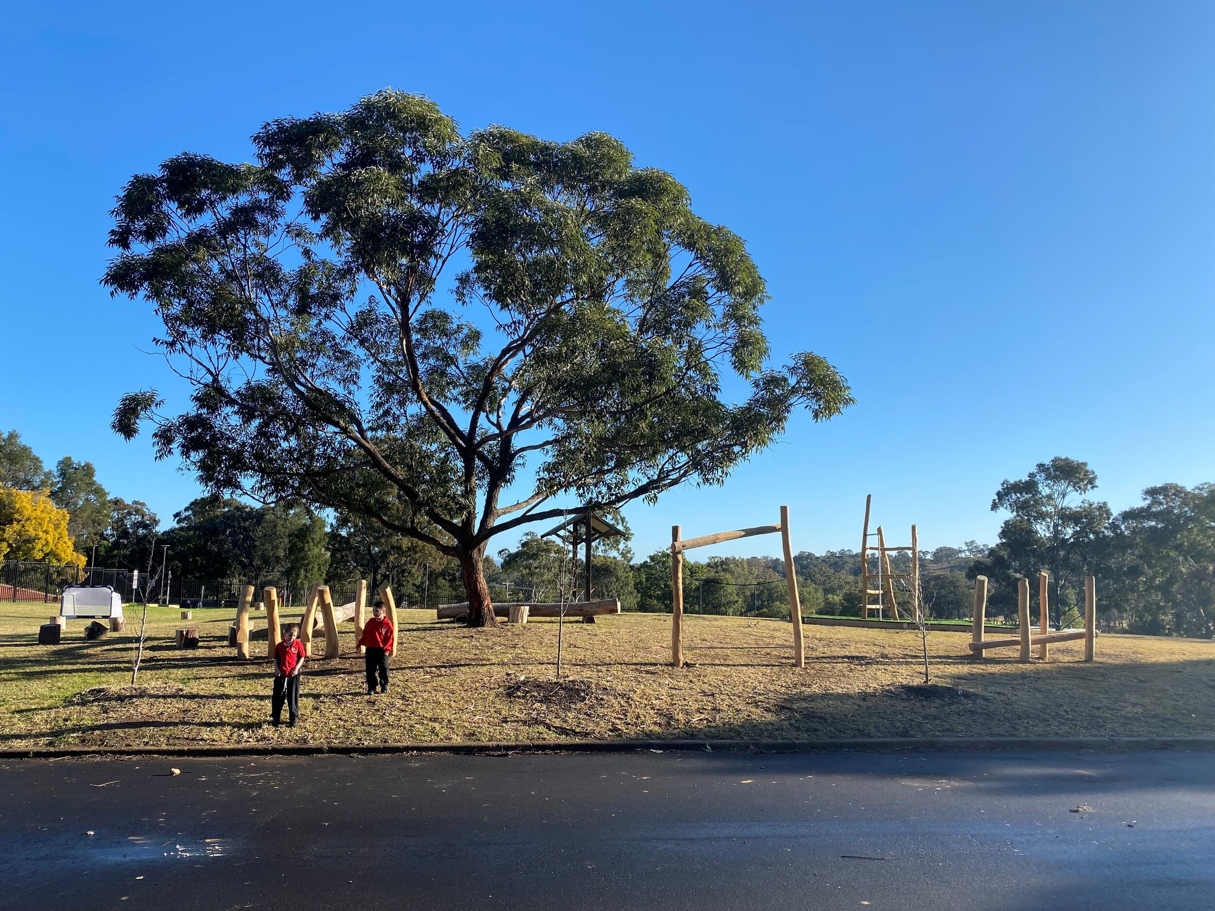 Full playground landscape tree and new equipment.jpg