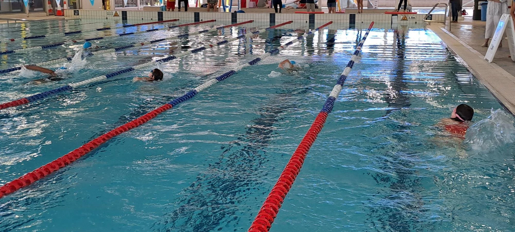 1000040557 - Copy.jpg